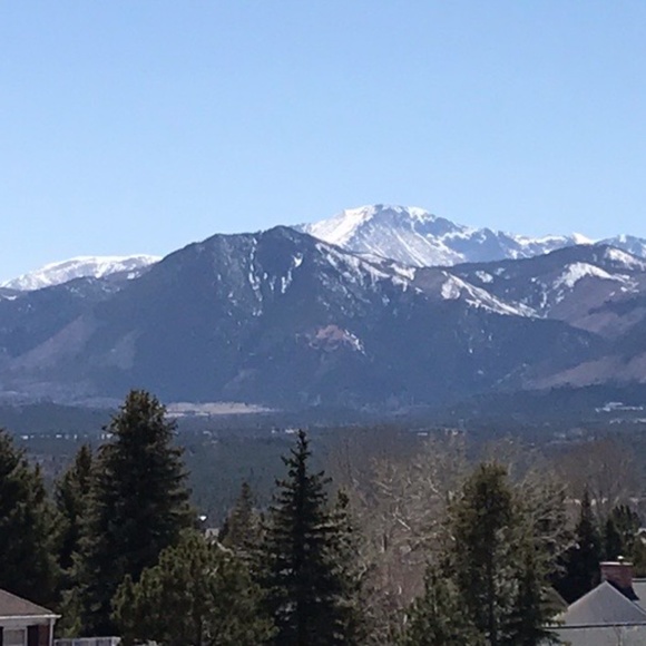 Meet your Posher, Dawn - Picture 5 of 5